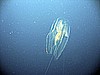 IMG_9897.JPG