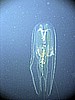 IMG_9898.JPG