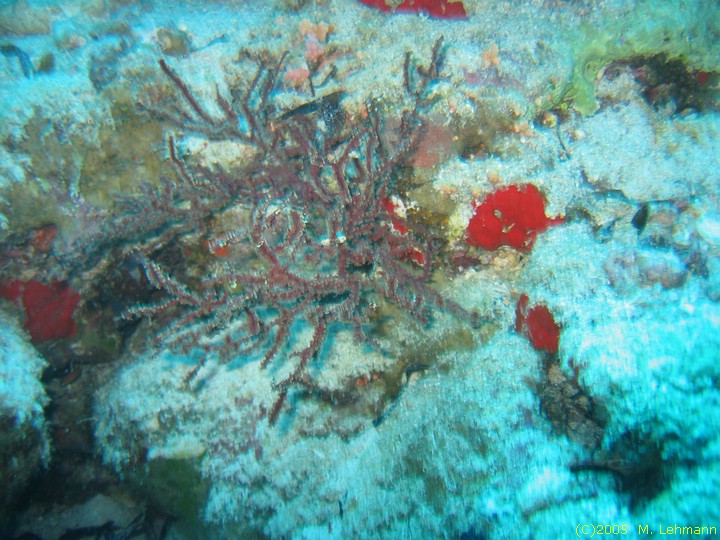 IMG_0013.JPG