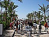 IMG_0008.JPG