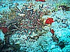 IMG_0013.JPG