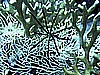 IMG_0014.JPG