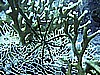 IMG_0015.JPG