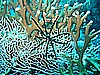 IMG_0016.JPG