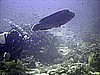 IMG_0017.JPG