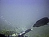 IMG_0018.JPG