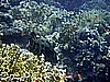 IMG_0019.JPG