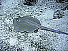 IMG_0022.JPG