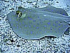 IMG_0023.JPG