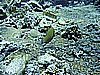 IMG_0025.JPG