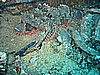 IMG_0027.JPG
