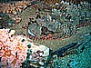 IMG_0028.JPG