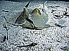 IMG_0029.JPG