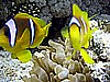 IMG_0032.JPG