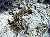 IMG_0033.JPG