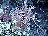IMG_0034.JPG