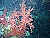 IMG_0035.JPG