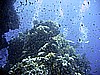 IMG_0036.JPG
