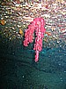 IMG_0038.JPG