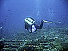 IMG_0039.JPG