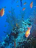 IMG_0041.JPG
