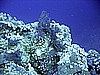 IMG_0042.JPG