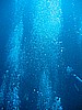 IMG_0043.JPG