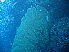 IMG_0046.JPG