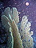 IMG_0047.JPG