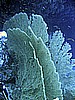 IMG_0048.JPG