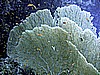 IMG_0049.JPG