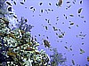 IMG_0050.JPG
