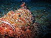 IMG_0054.JPG