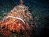 IMG_0055.JPG