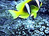 IMG_0056.JPG