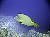 IMG_0059.JPG
