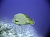 IMG_0060.JPG