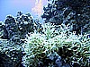 IMG_0061.JPG