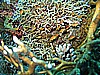 IMG_0063.JPG