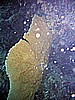 IMG_0064.JPG