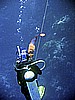 IMG_0065.JPG