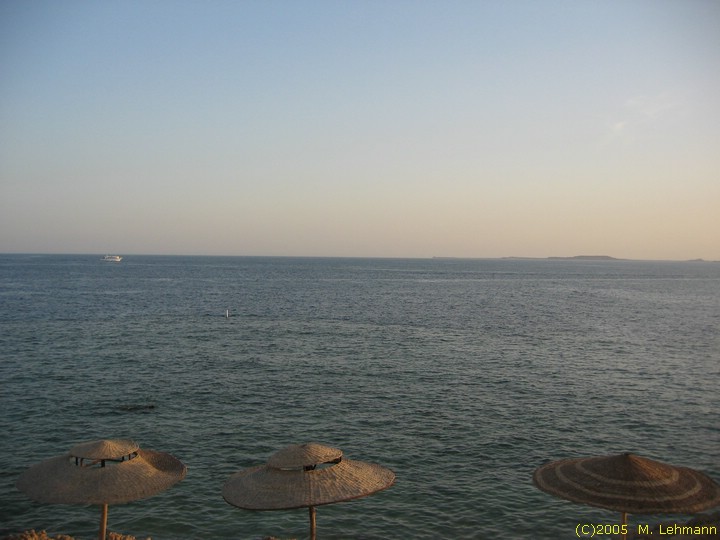 STB_0139.JPG