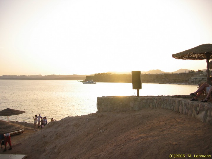 STE_0142.JPG
