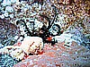 IMG_0097.JPG
