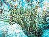 IMG_0100.JPG