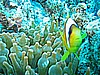 IMG_0101.JPG