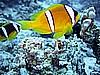 IMG_0102.JPG
