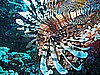 IMG_0103.JPG