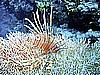 IMG_0104.JPG