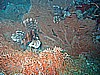 IMG_0105.JPG